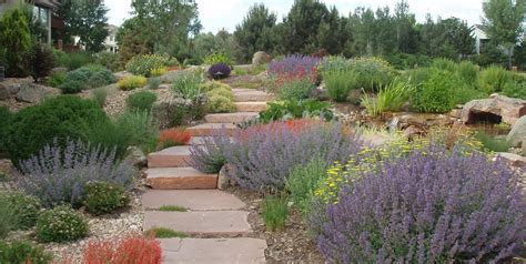  Xeriscape Gardening for Dummies: A Practical Guide: Un Paseo por la Belleza Árida y la Sostenibilidad